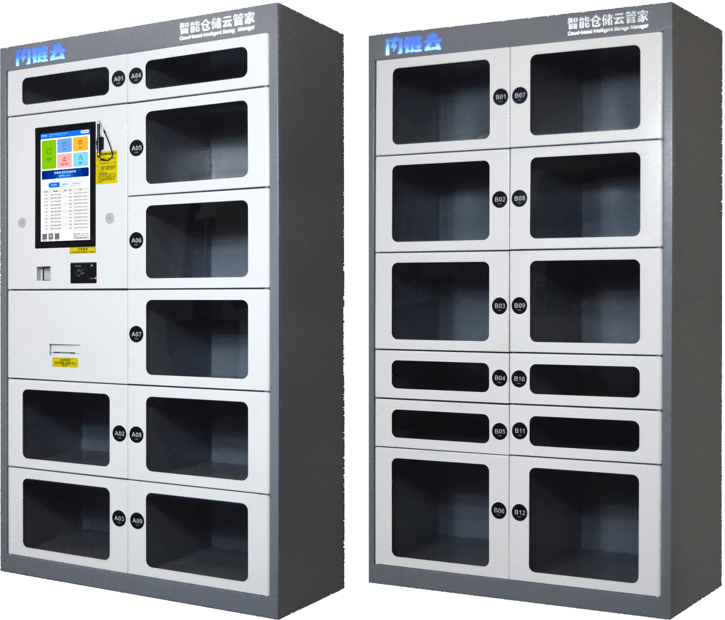Smart Door Cabinet